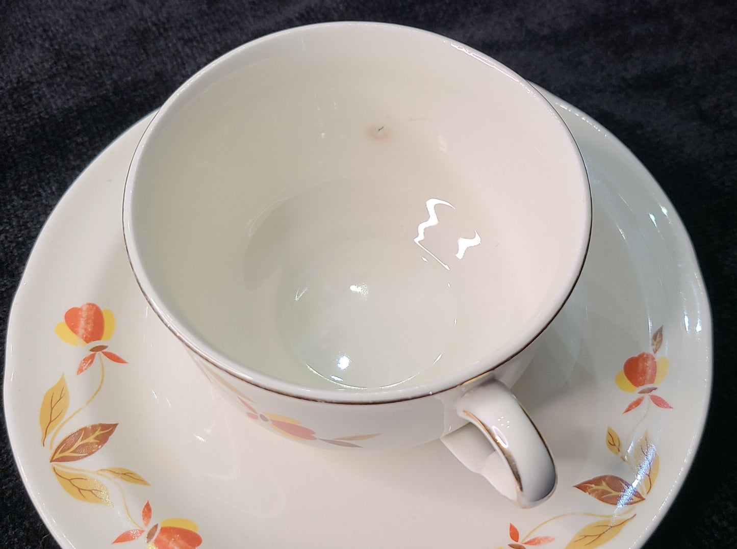 Vintage Autumn Leaf Superior Hall Tea Cup & Saucer